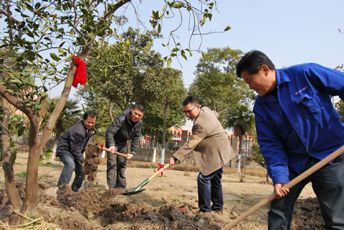 L͡ϯyAaLʡ|zLɣֲ