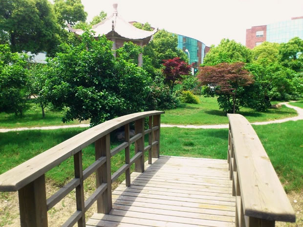 《尋找滬工最美地方》攝影活動一等獎(圖 3)