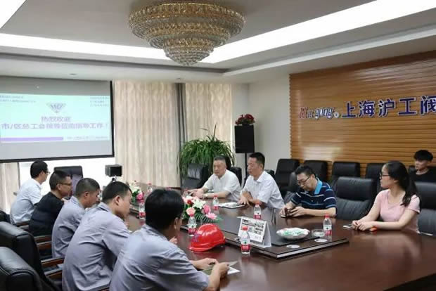 上海市總工會(huì)領(lǐng)導(dǎo)及專家指導(dǎo)我司職業(yè)衛(wèi)生安全防護(hù)工作(圖1)