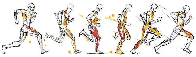 可能是你缺少力量訓練